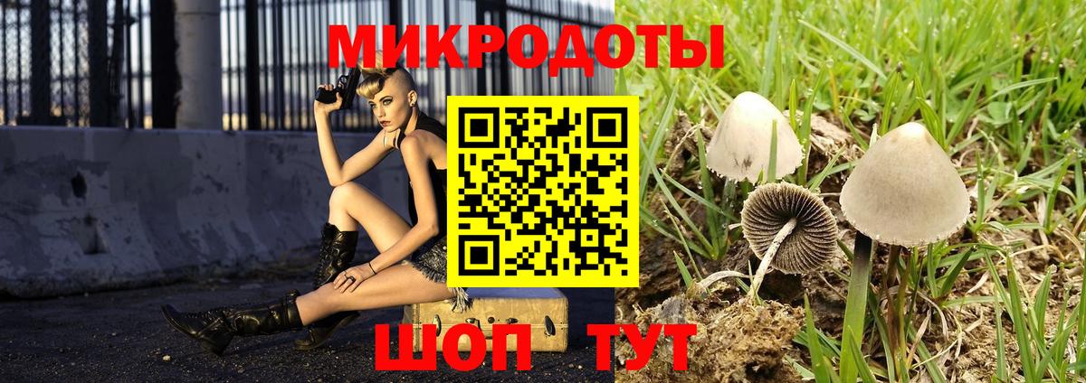 Псилоцибиновые грибы Psilocybine cubensis  Галлюциногенные грибы ЛСД  Вход с VPN  Изобильный 