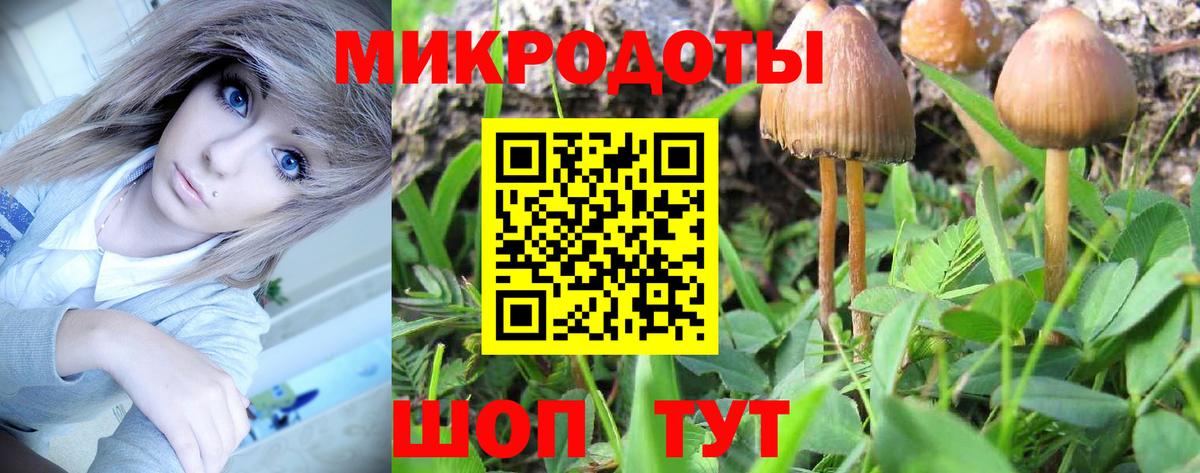 Псилоцибиновые грибы прущие грибы Изобильный